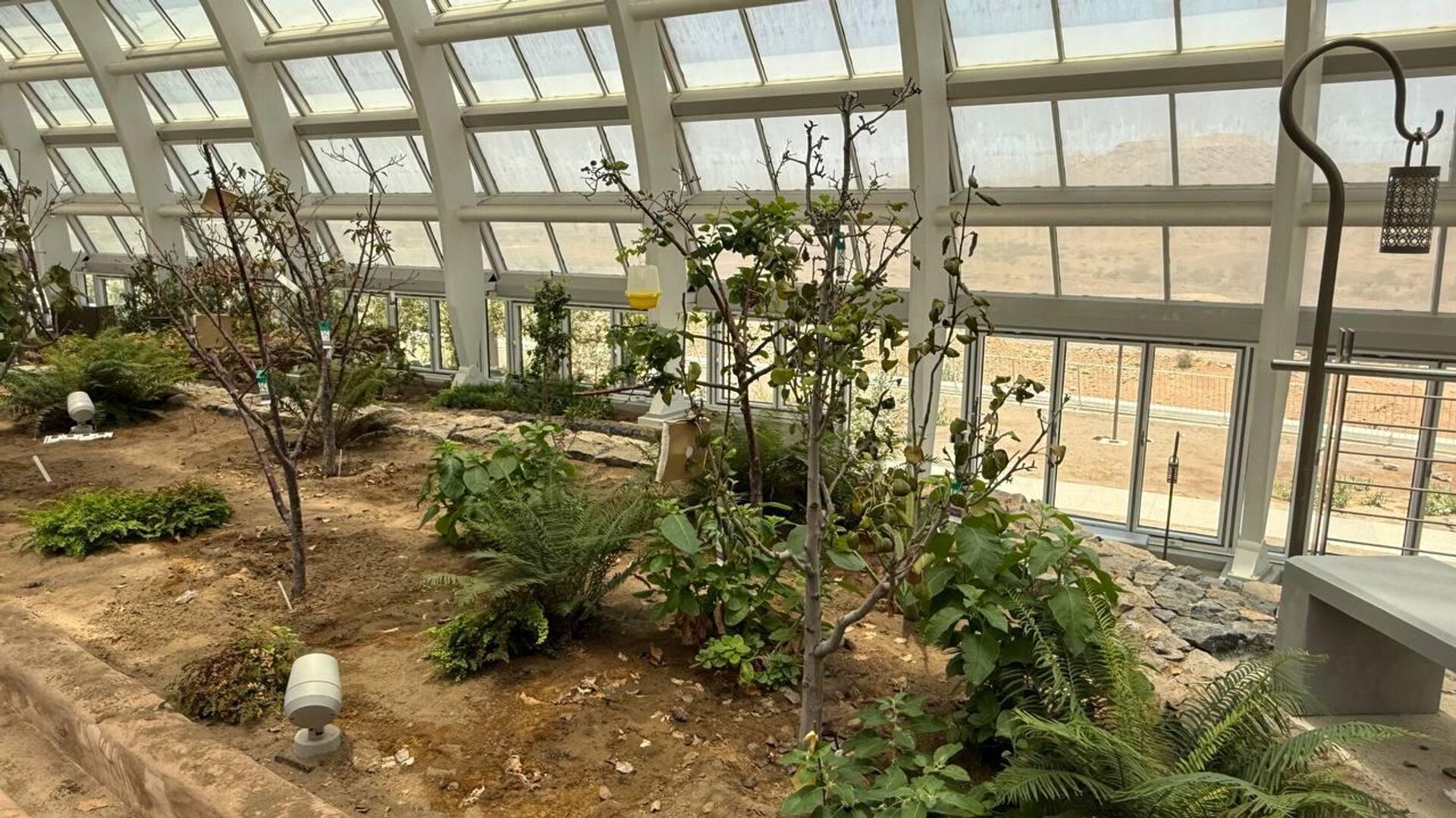 حديقة النباتات العمانية.. مشروع وطني رائد يحتفي بأهم المقومات الطبيعية للسلطنة حديقة النباتات العمانية.. مشروع وطني رائد يحتفي بأهم المقومات الطبيعية للسلطنة - سبوتنيك عربي, 1920, 01.05.2025