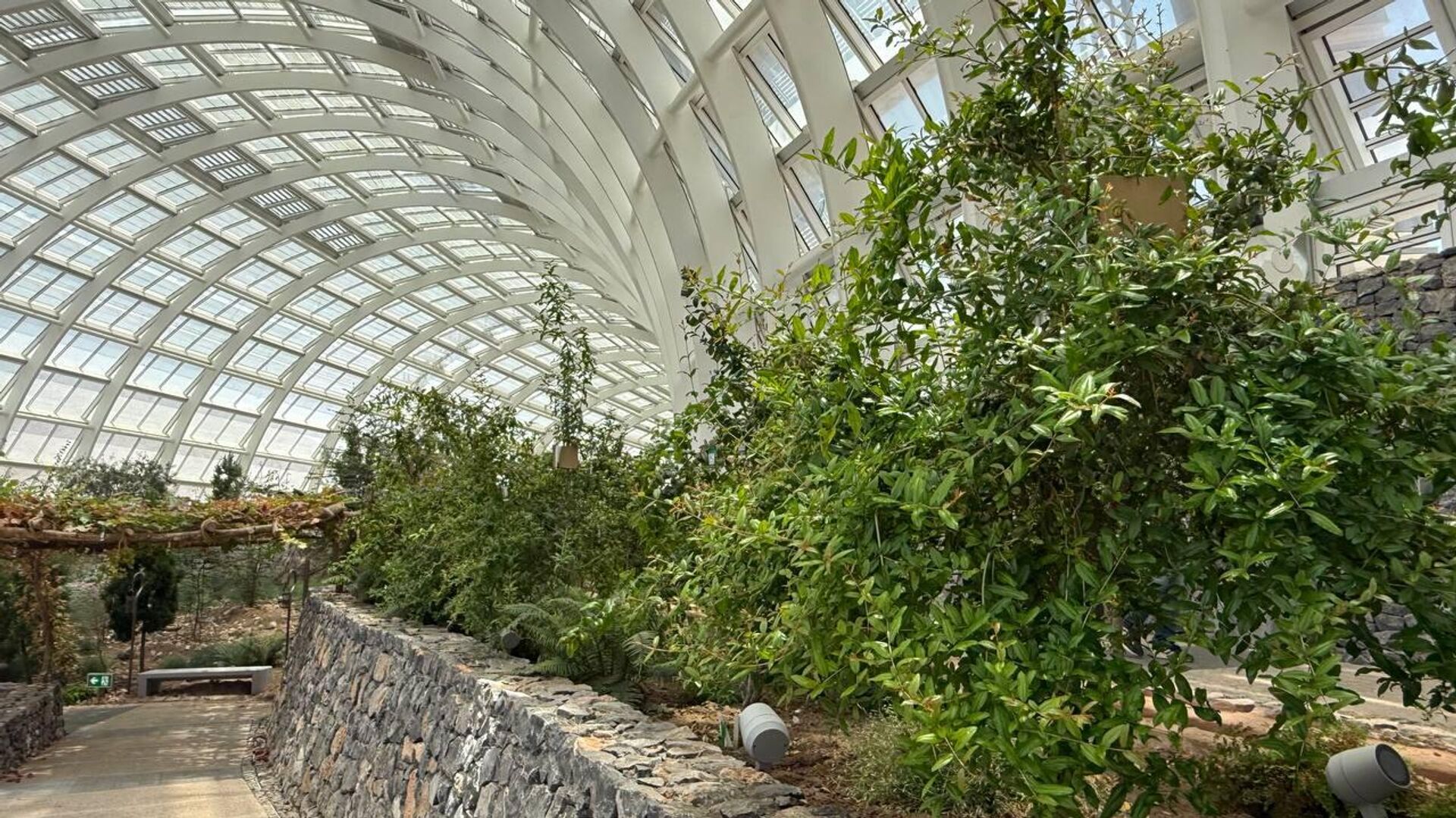 حديقة النباتات العمانية.. مشروع وطني رائد يحتفي بأهم المقومات الطبيعية للسلطنة حديقة النباتات العمانية.. مشروع وطني رائد يحتفي بأهم المقومات الطبيعية للسلطنة - سبوتنيك عربي, 1920, 01.05.2025