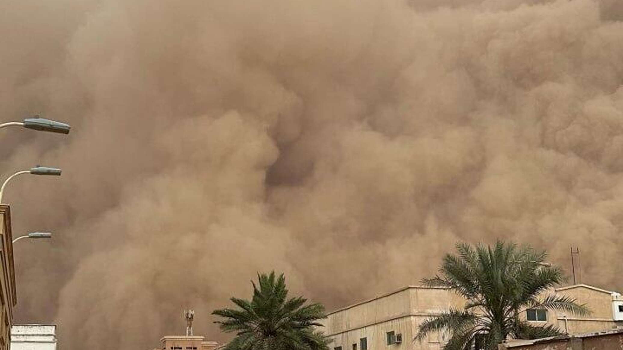 عاصفة غبارية مرعبة تحول النهار إلى ليل في السعودية.. فيديو