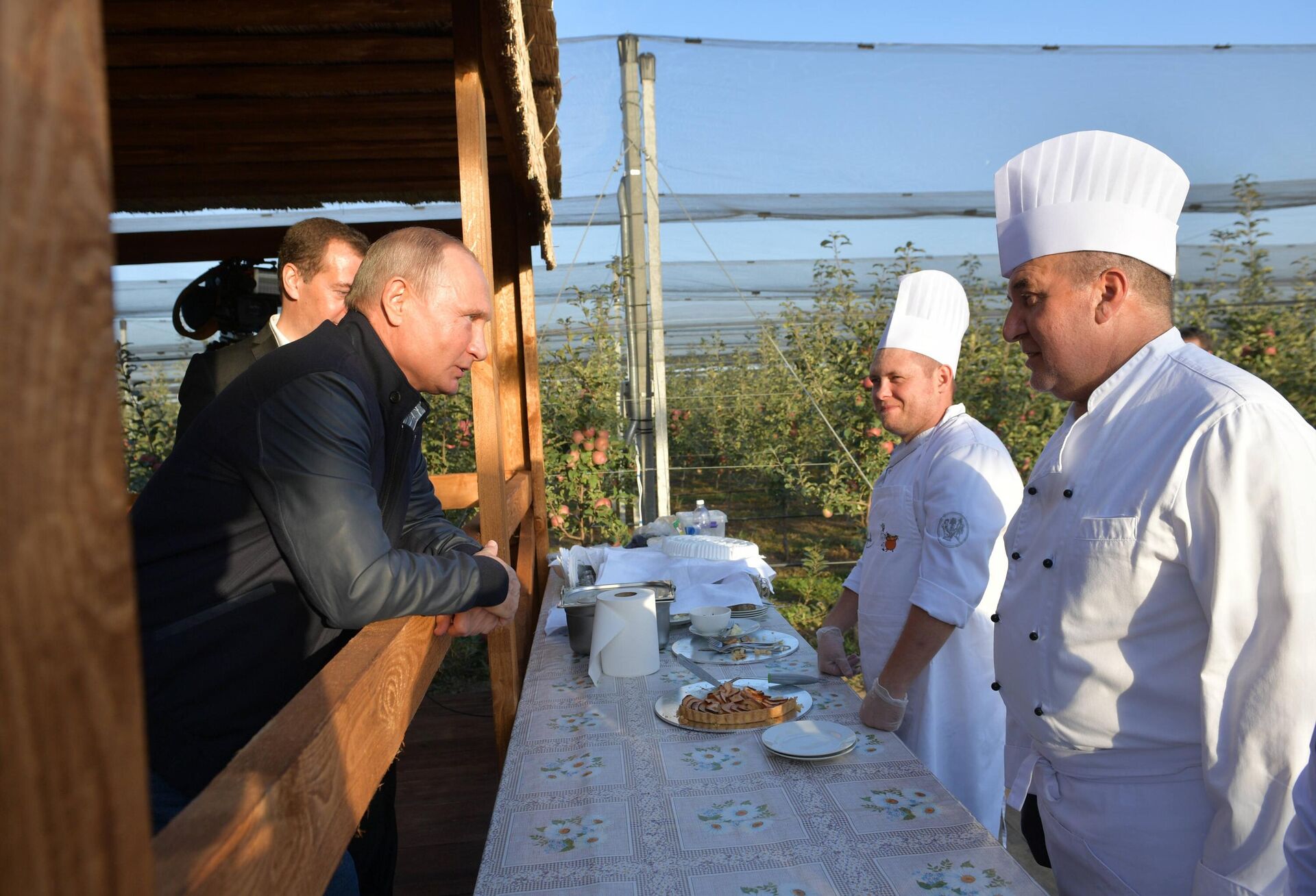 زيارة عمل للرئيس الروسي فلاديمير بوتين، ورئيس الوزراء الروسي دميتري ميدفيديف، إلى إقليم ستافروبول، عام 2018 - سبوتنيك عربي, 1920, 07.05.2025