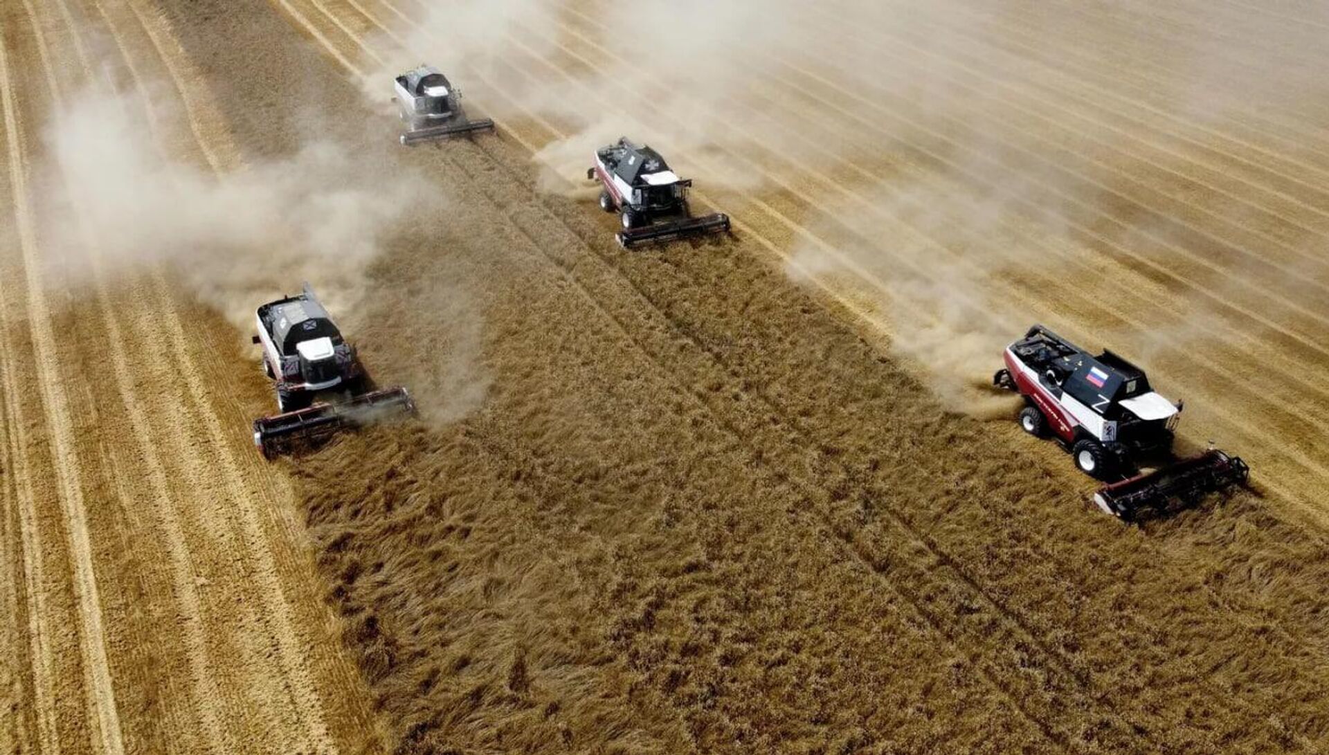 زراعة القمح في منطقة روستوف - سبوتنيك عربي, 1920, 07.05.2025