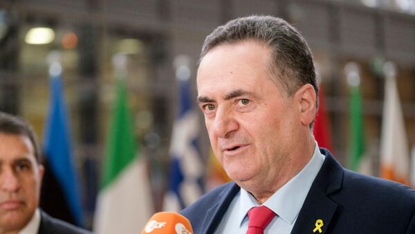 وزير الدفاع الإسرائيلي يسرائيل كاتس - سبوتنيك عربي