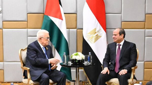  - سبوتنيك عربي