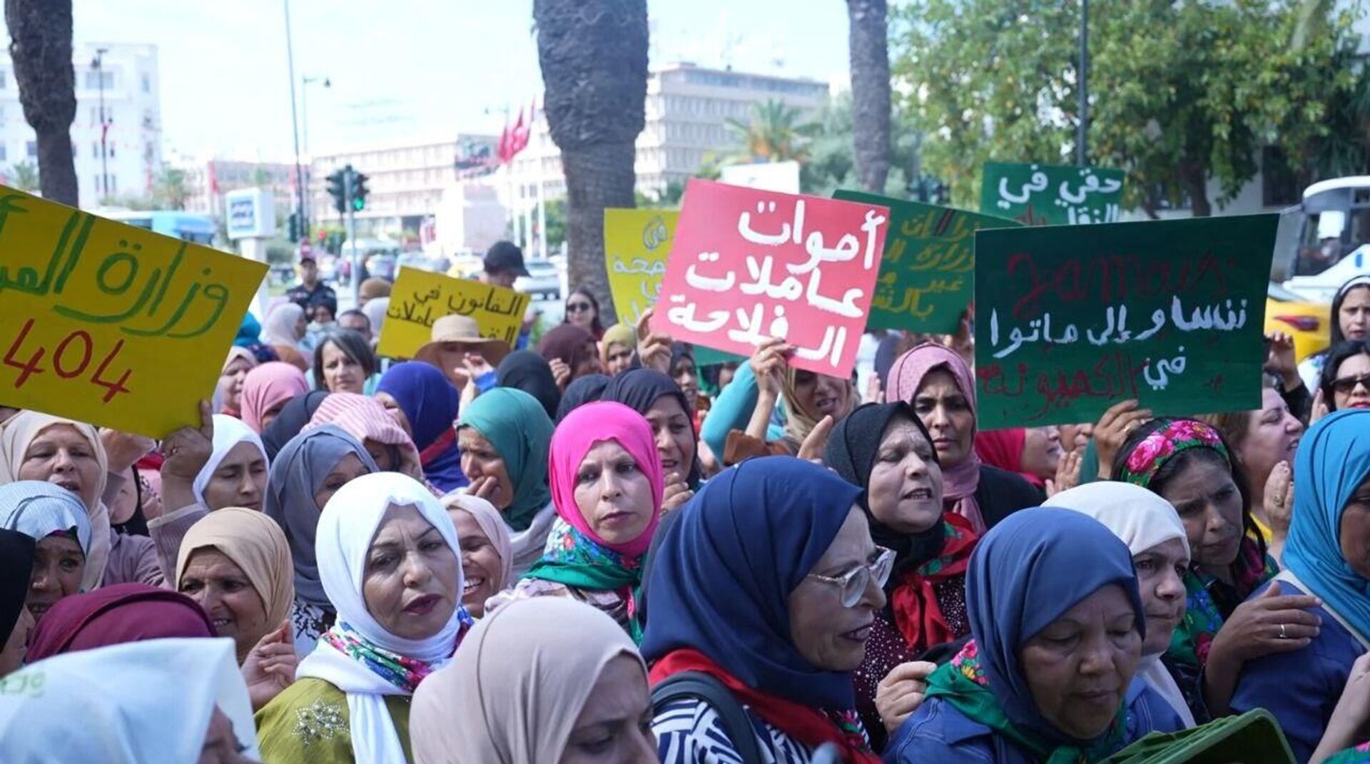 تونس عاملات الفلاحة ينتفضن ويهددن بأول إضراب عام نسوي يهز المناطق الفلاحية في البلاد - سبوتنيك عربي, 1920, 12.05.2025