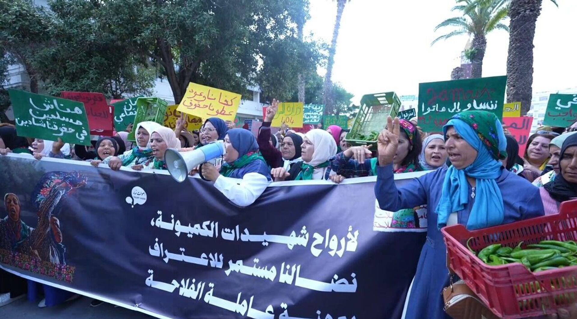 تونس عاملات الفلاحة ينتفضن ويهددن بأول إضراب عام نسوي يهز المناطق الفلاحية في البلاد - سبوتنيك عربي, 1920, 12.05.2025