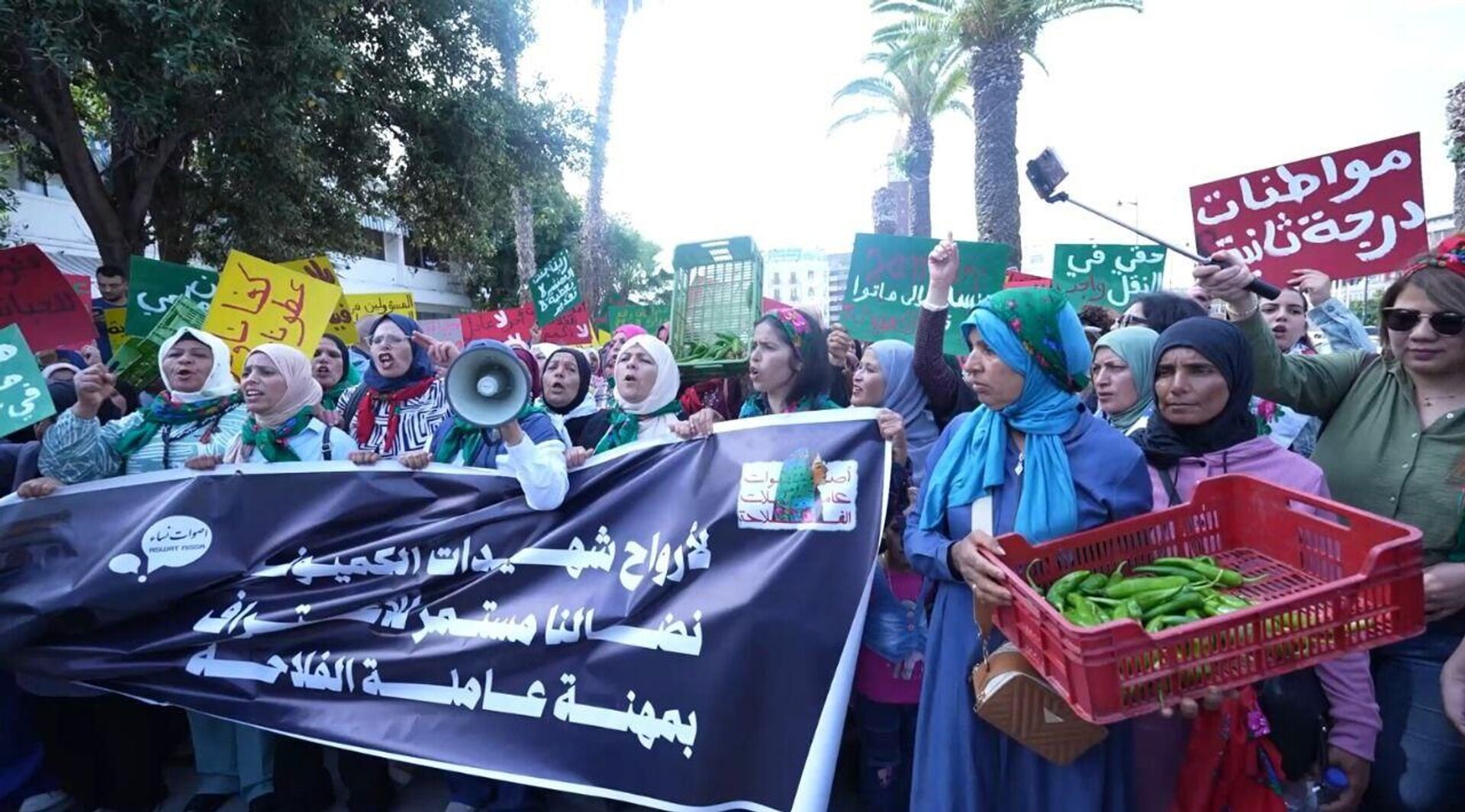 تونس عاملات الفلاحة ينتفضن ويهددن بأول إضراب عام نسوي يهز المناطق الفلاحية في البلاد - سبوتنيك عربي, 1920, 12.05.2025