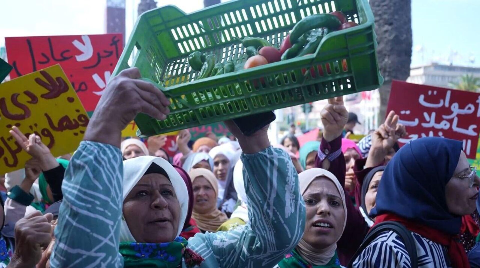 تونس عاملات الفلاحة ينتفضن ويهددن بأول إضراب عام نسوي يهز المناطق الفلاحية في البلاد - سبوتنيك عربي, 1920, 12.05.2025