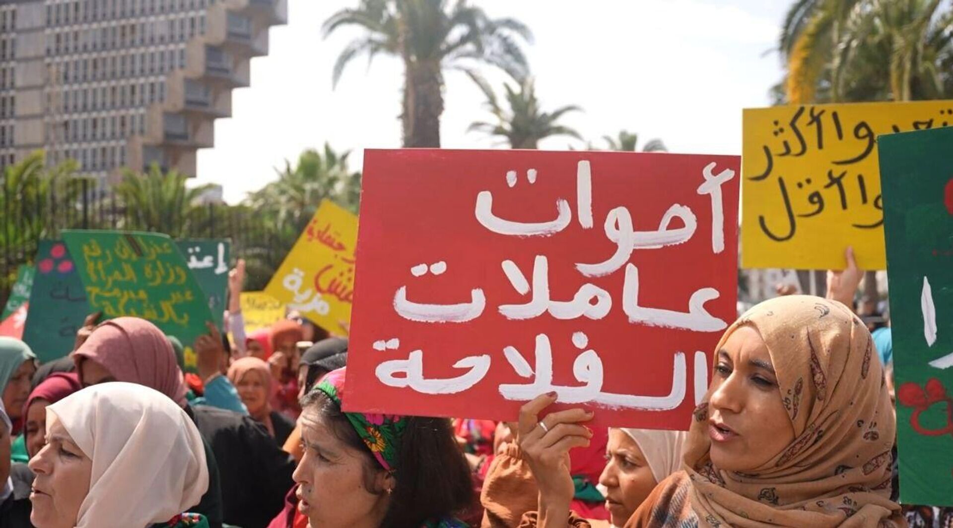 تونس عاملات الفلاحة ينتفضن ويهددن بأول إضراب عام نسوي يهز المناطق الفلاحية في البلاد - سبوتنيك عربي, 1920, 12.05.2025