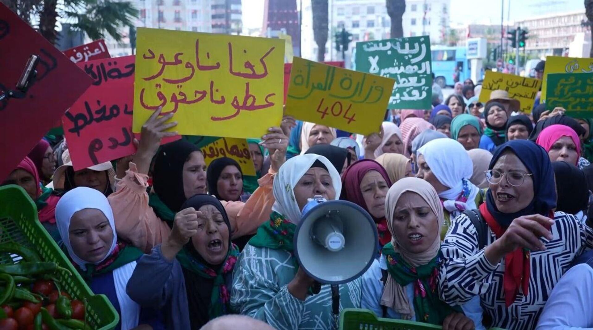 تونس عاملات الفلاحة ينتفضن ويهددن بأول إضراب عام نسوي يهز المناطق الفلاحية في البلاد - سبوتنيك عربي, 1920, 12.05.2025