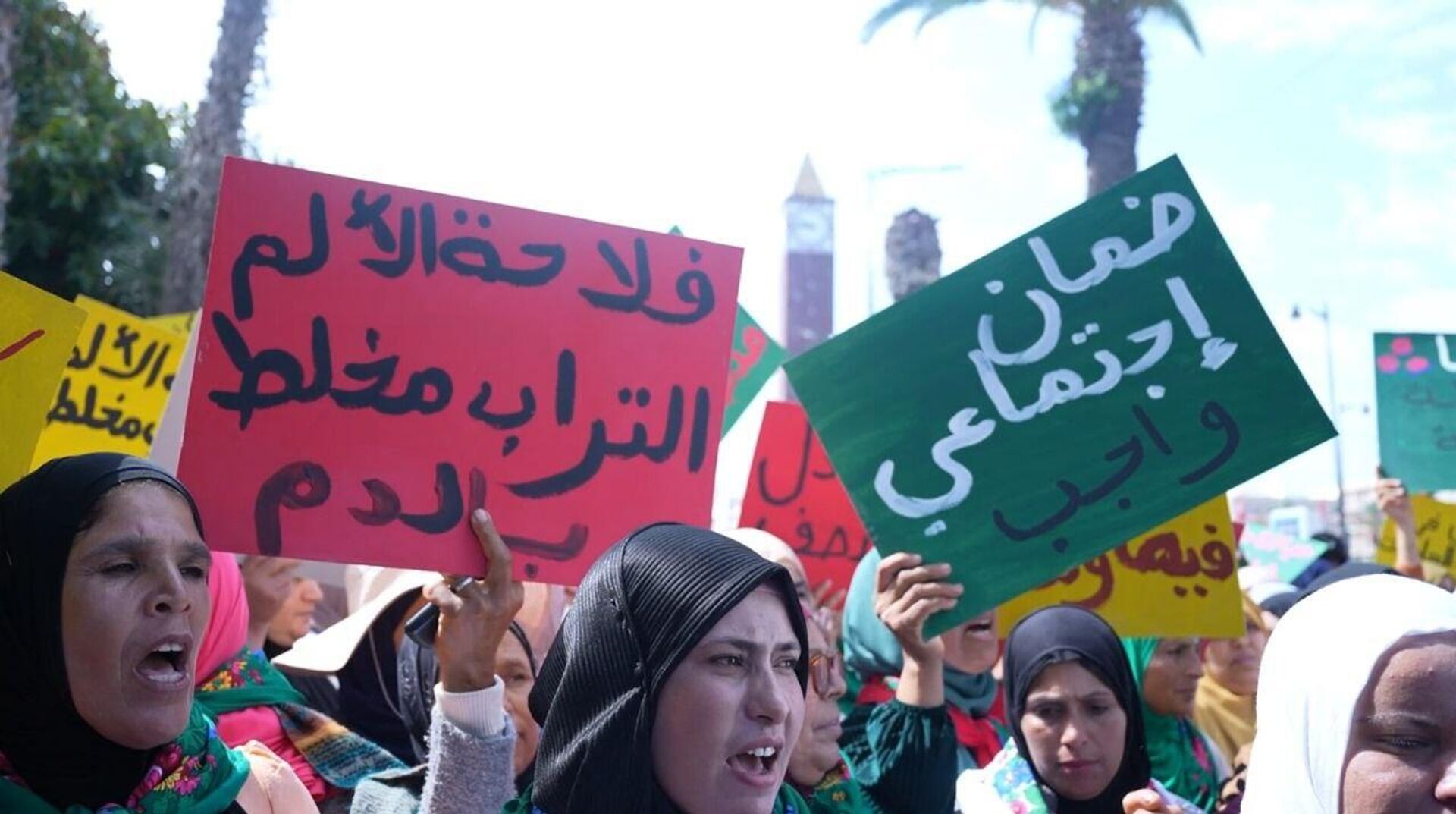 تونس عاملات الفلاحة ينتفضن ويهددن بأول إضراب عام نسوي يهز المناطق الفلاحية في البلاد - سبوتنيك عربي, 1920, 12.05.2025