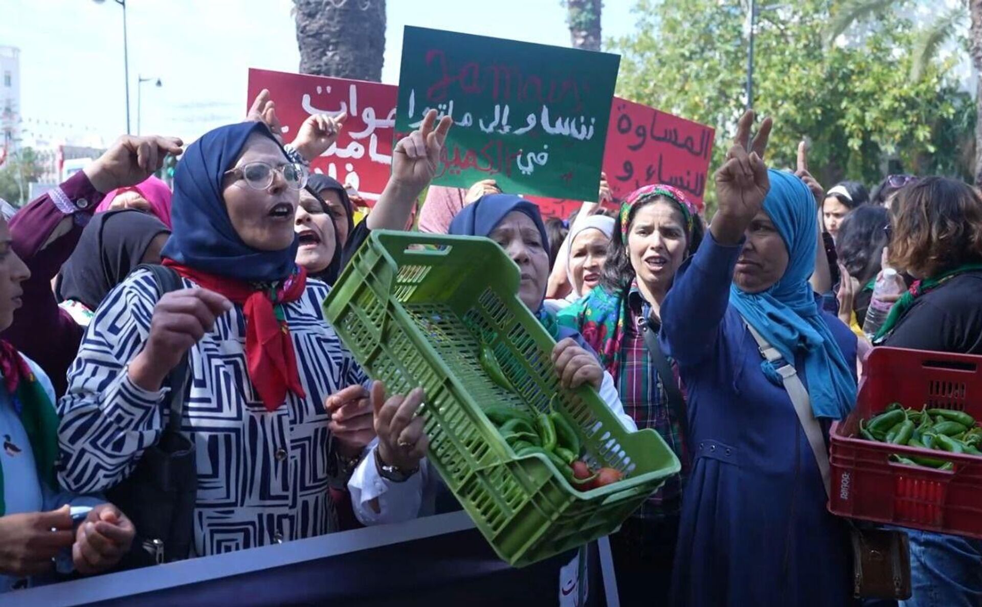 تونس عاملات الفلاحة ينتفضن ويهددن بأول إضراب عام نسوي يهز المناطق الفلاحية في البلاد - سبوتنيك عربي, 1920, 12.05.2025