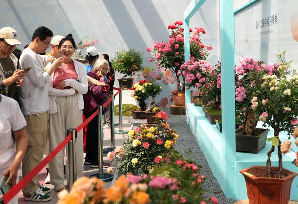 زوار المعرص يطلعون على أجنحته، التي تعرض أكثر من 1000 نوع من الورود من جميع أنحاء العالم، خلال المؤتمر الدولي للورود في بكين، الصين - سبوتنيك عربي