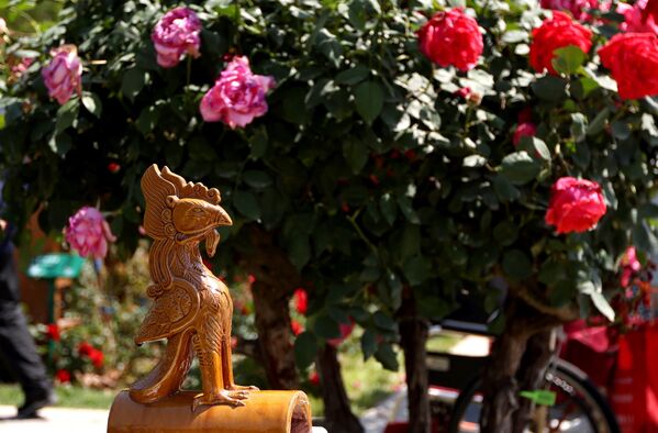 منطقة عرض تضم أكثر من 1000 نوع من الورود من جميع أنحاء العالم، خلال فعاليات مؤتمر الورود الدولي في بكين، الصين - سبوتنيك عربي