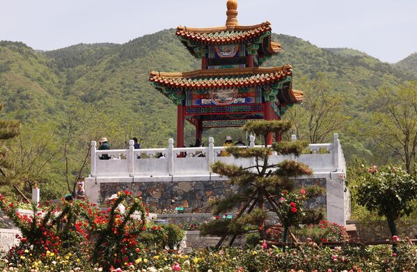 منطقة عرض تضم أكثر من 1000 نوع من الورود من جميع أنحاء العالم خلال مؤتمر الورود الدولي في بكين، الصين - سبوتنيك عربي