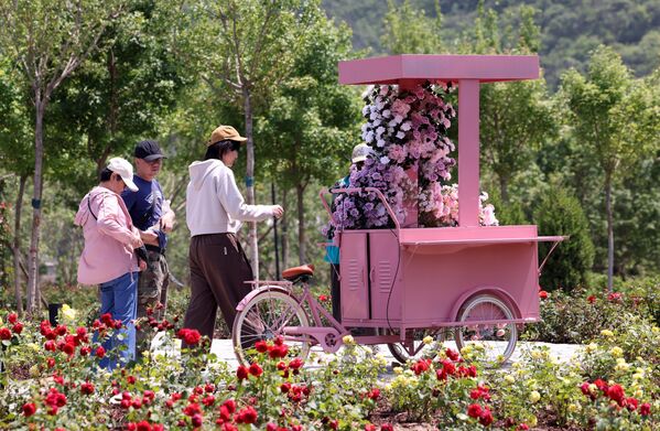 زوار المعرص يطلعون على أجنحته، التي تعرض أكثر من 1000 نوع من الورود من جميع أنحاء العالم، خلال المؤتمر الدولي للورود في بكين، الصين - سبوتنيك عربي