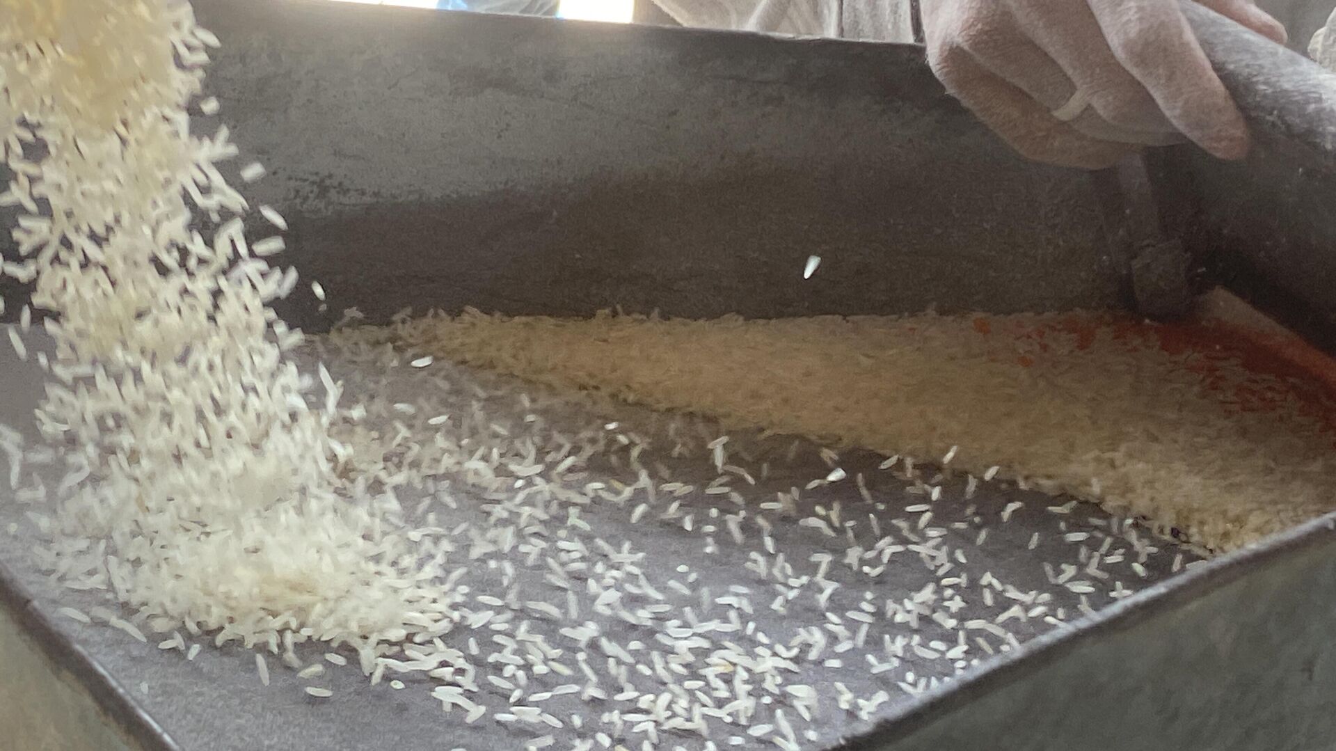 طحن البقوليات بدلا من الدقيق لصنع الخبز في غزة - سبوتنيك عربي, 1920, 13.05.2025