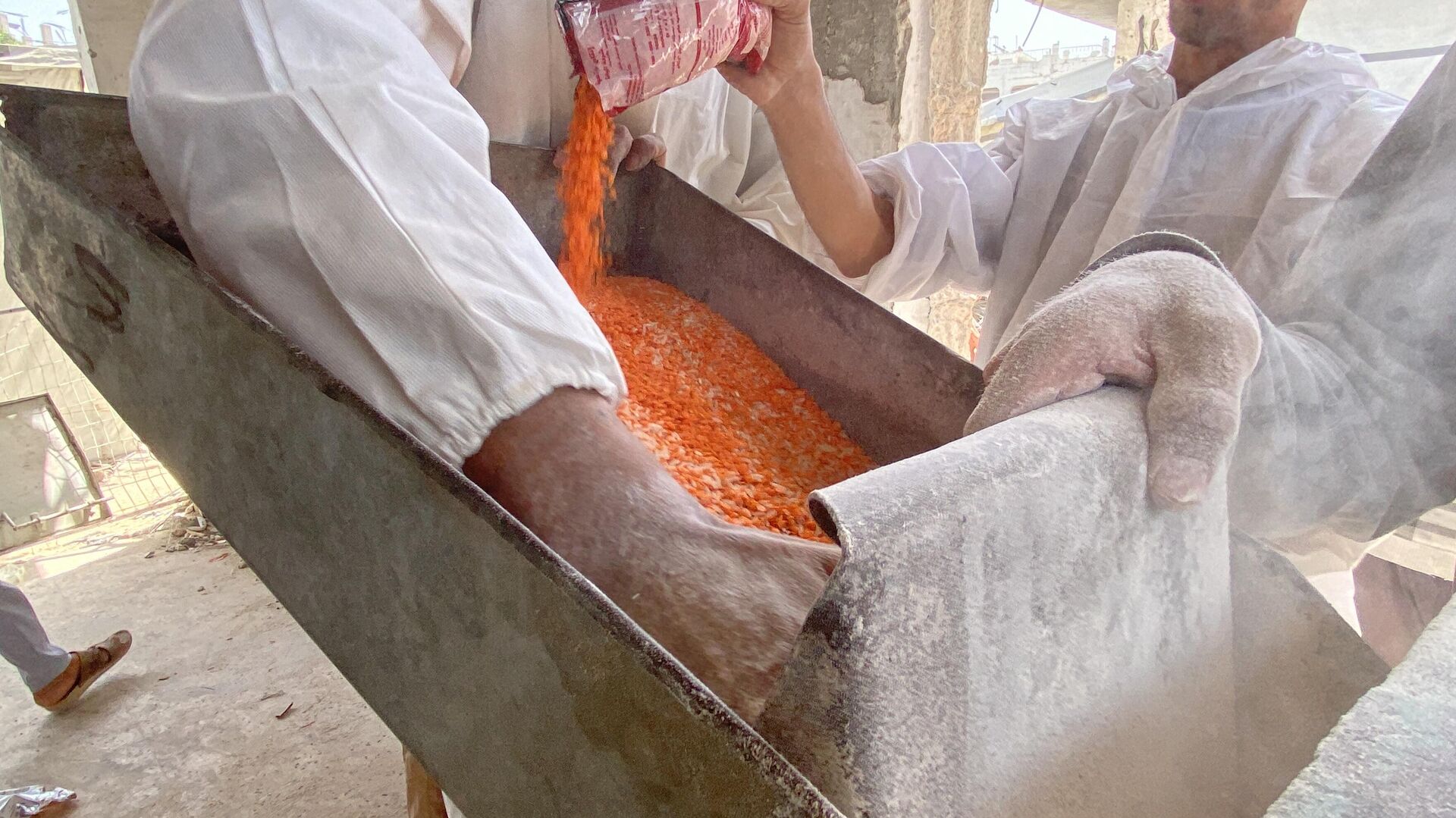 طحن البقوليات بدلا من الدقيق لصنع الخبز في غزة - سبوتنيك عربي, 1920, 13.05.2025