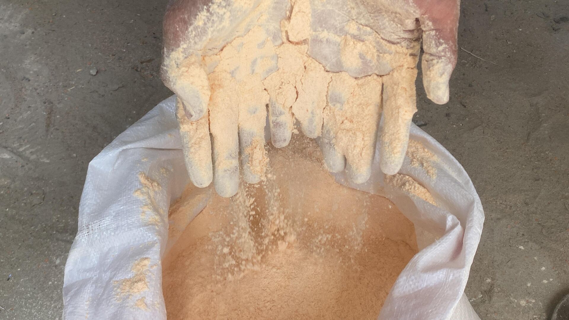 طحن البقوليات بدلا من الدقيق لصنع الخبز في غزة - سبوتنيك عربي, 1920, 13.05.2025