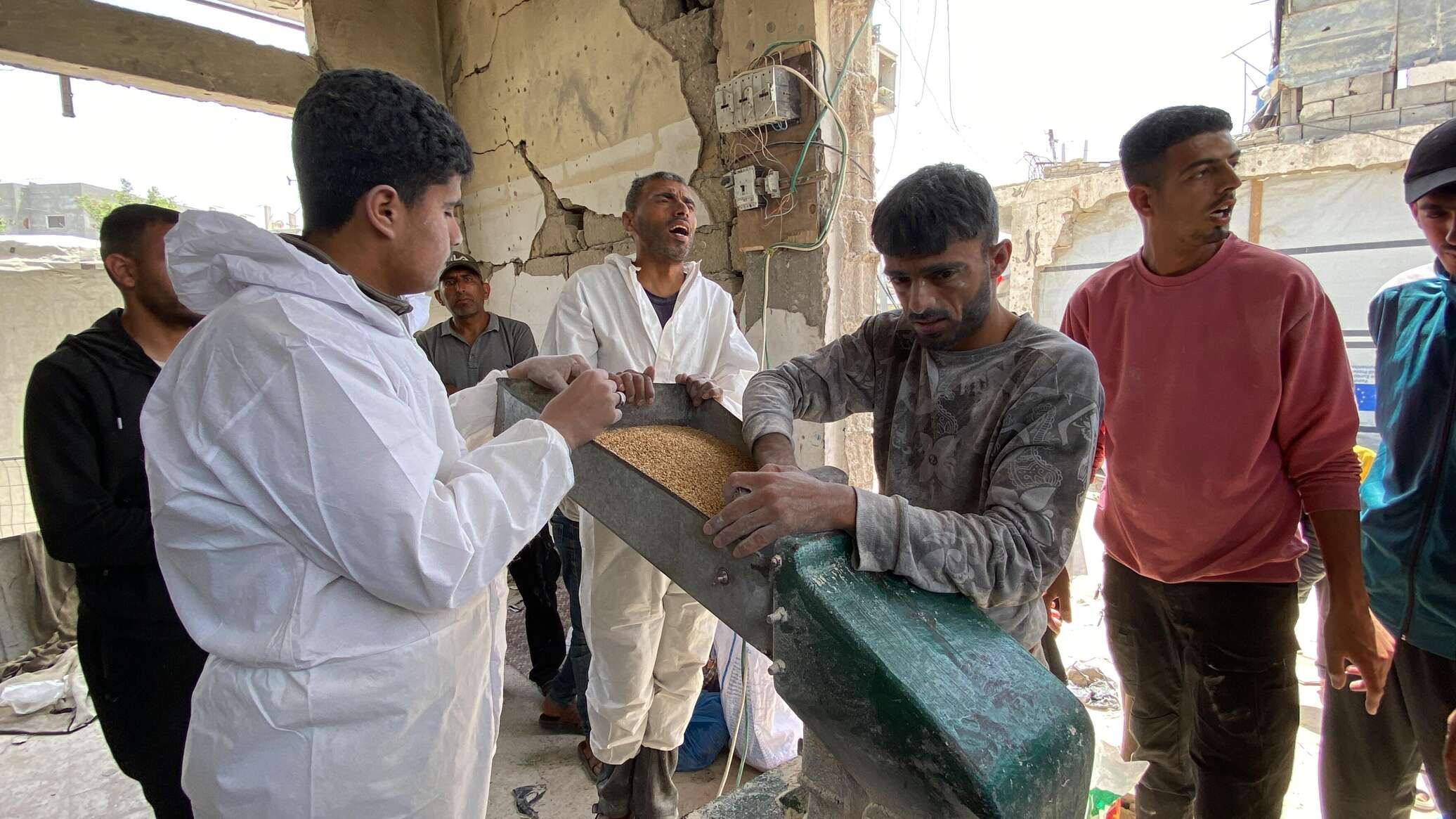 طحن البقوليات بدلا من الدقيق لصنع الخبز ومواجهة أزمة الجوع في قطاع غزة