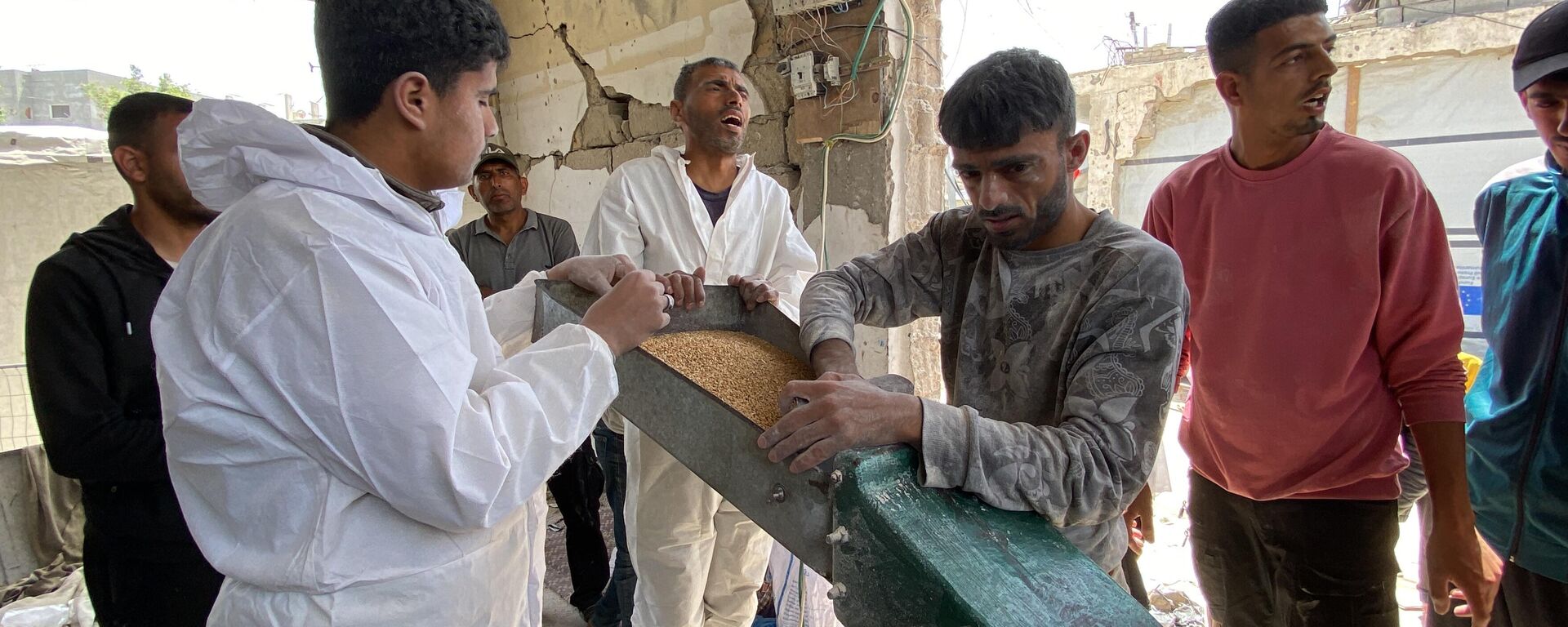 طحن البقوليات بدلا من الدقيق لصنع الخبز في غزة - سبوتنيك عربي, 1920, 14.05.2025