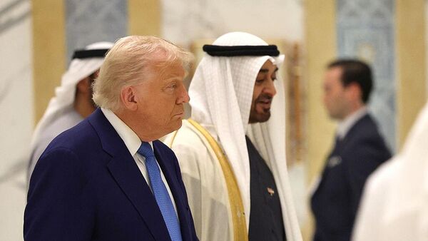 الرئيس الأمريكي دونالد ترامب ونظيره الإماراتي محمد بن زايد - سبوتنيك عربي