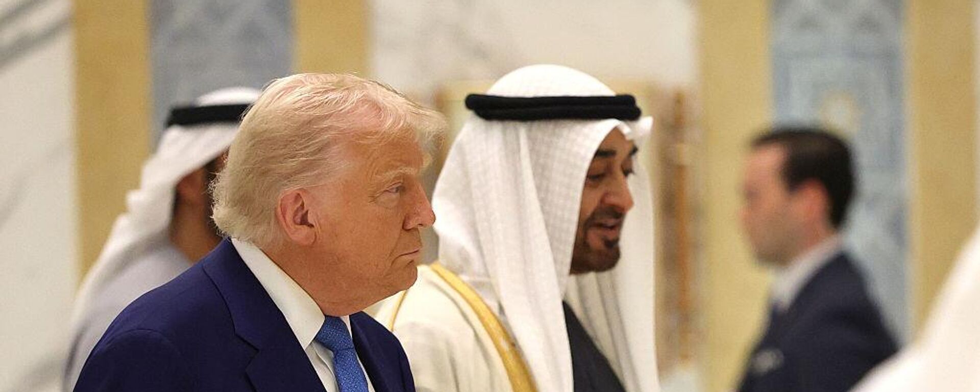 الرئيس الأمريكي دونالد ترامب ونظيره الإماراتي محمد بن زايد - سبوتنيك عربي, 1920, 15.05.2025