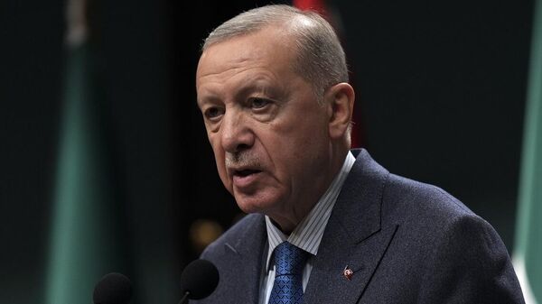 الرئيس التركي، رجب طيب أردوغان - سبوتنيك عربي