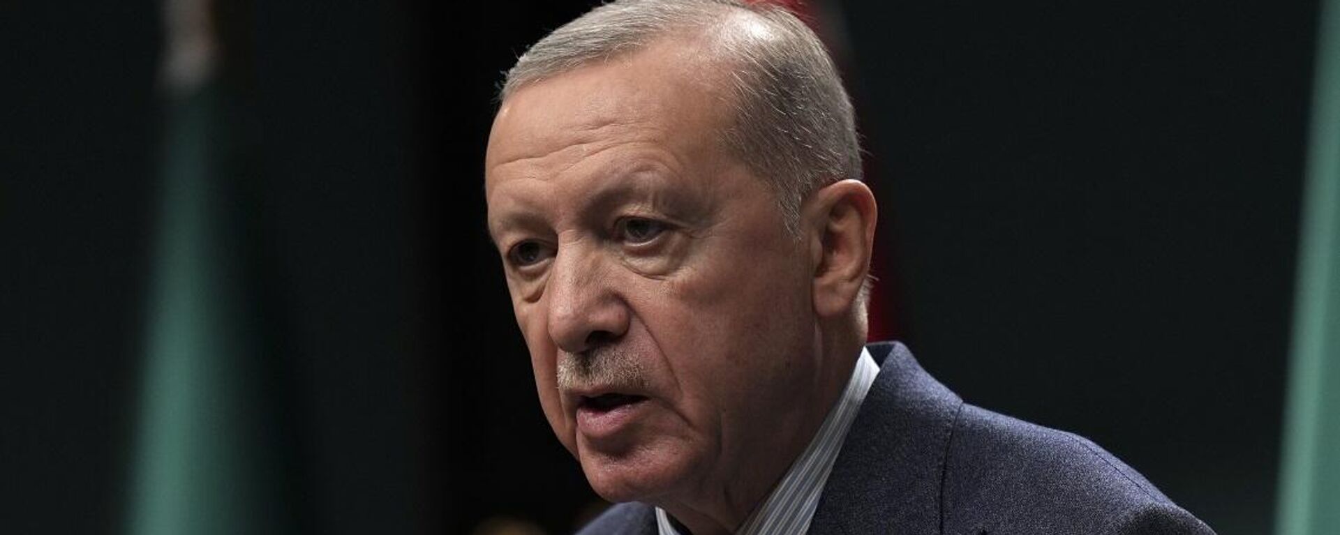 الرئيس التركي، رجب طيب أردوغان - سبوتنيك عربي, 1920, 17.05.2025