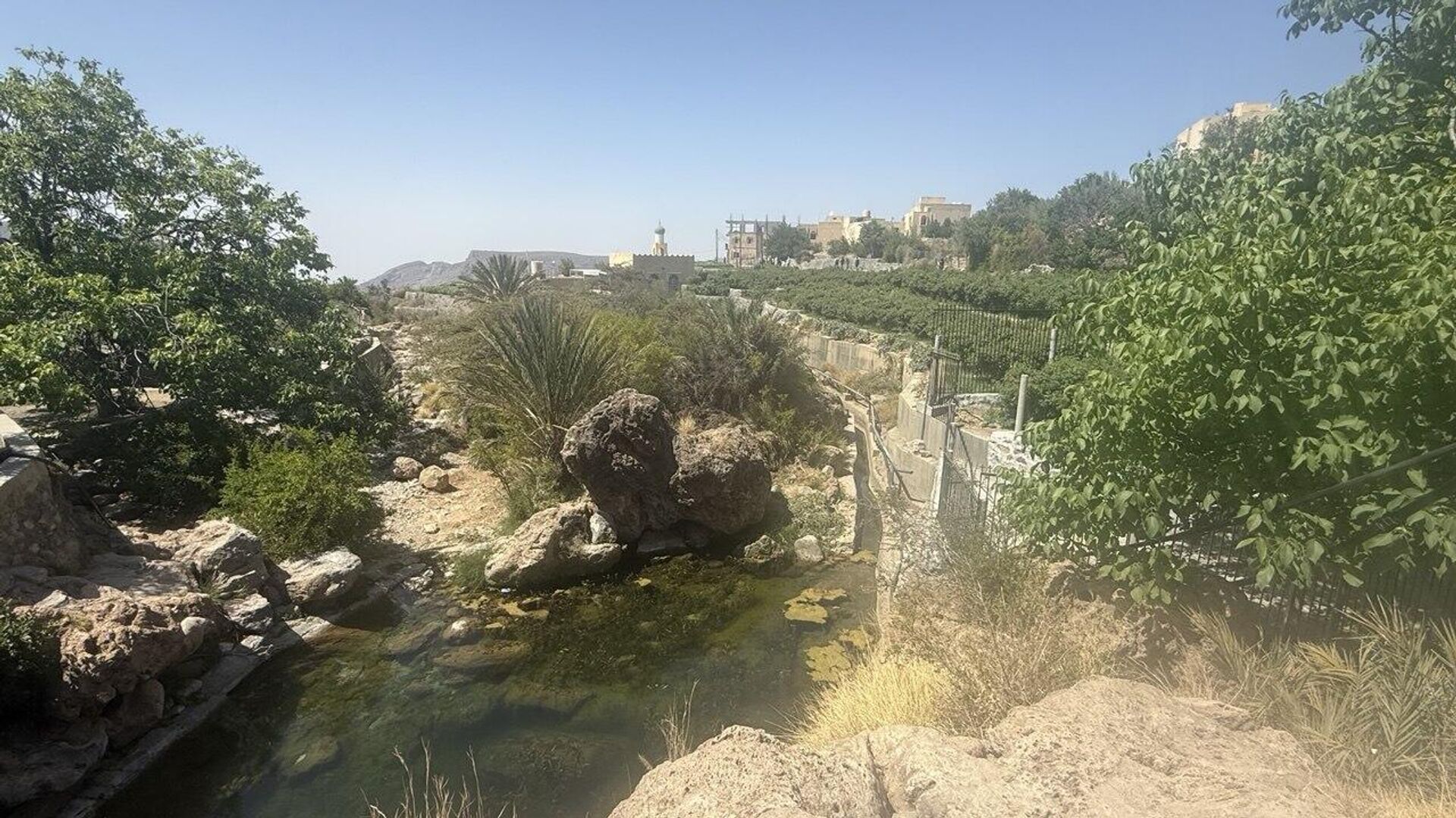 قرى الورد في الجبل الأخضر- سلطنة عمان 
 - سبوتنيك عربي, 1920, 16.05.2025