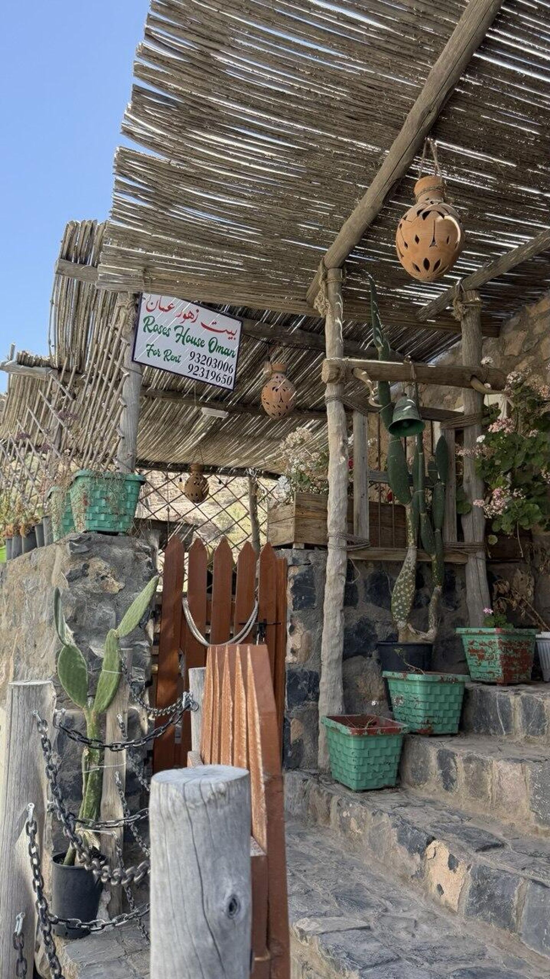 قرى الورد في الجبل الأخضر- سلطنة عمان 
 - سبوتنيك عربي, 1920, 16.05.2025