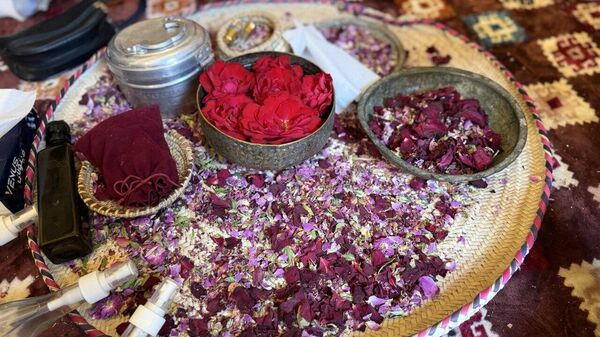 قرى الورد في الجبل الأخضر- سلطنة عمان 
 - سبوتنيك عربي