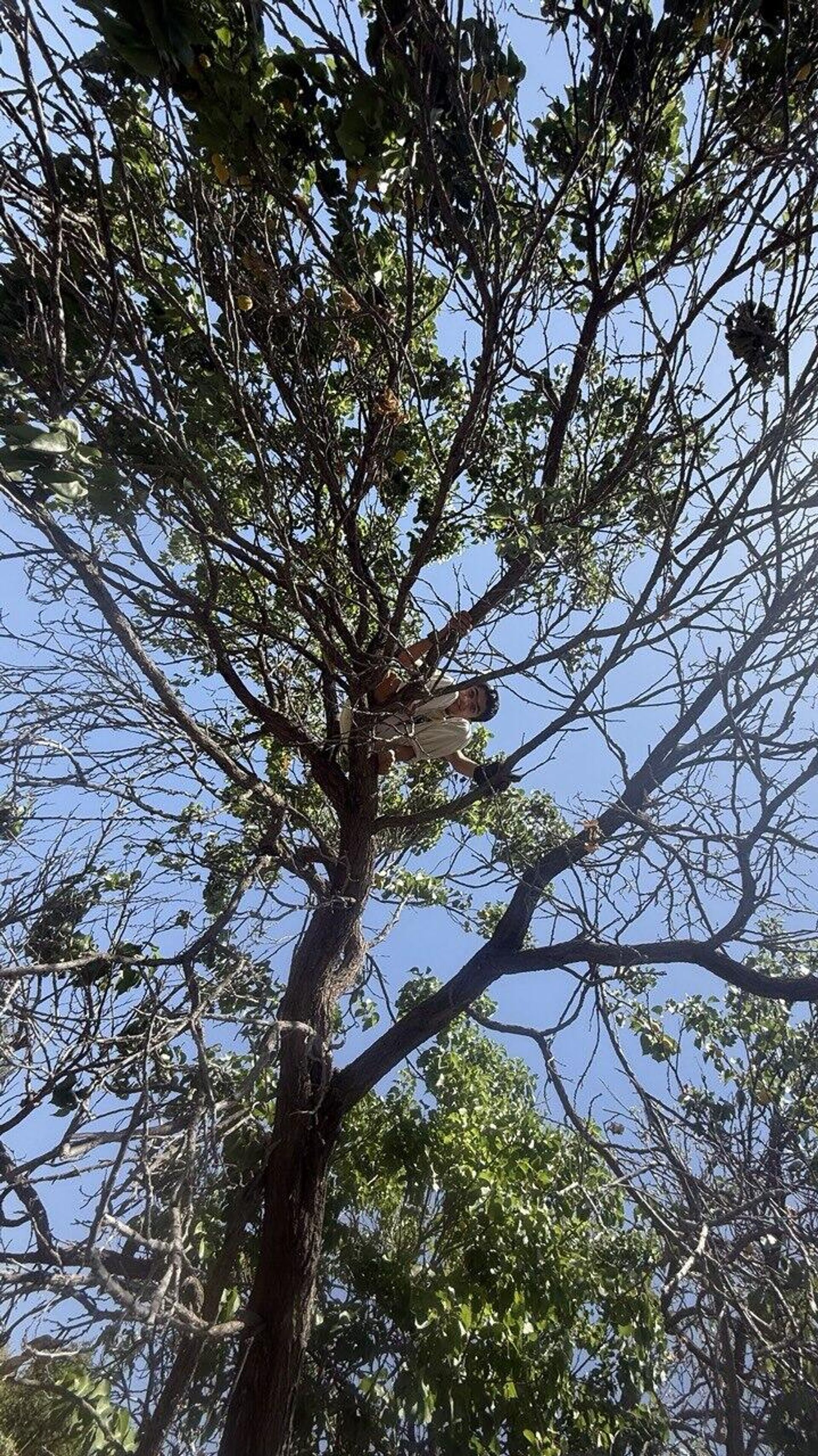 قرى الورد في الجبل الأخضر- سلطنة عمان 
 - سبوتنيك عربي, 1920, 16.05.2025