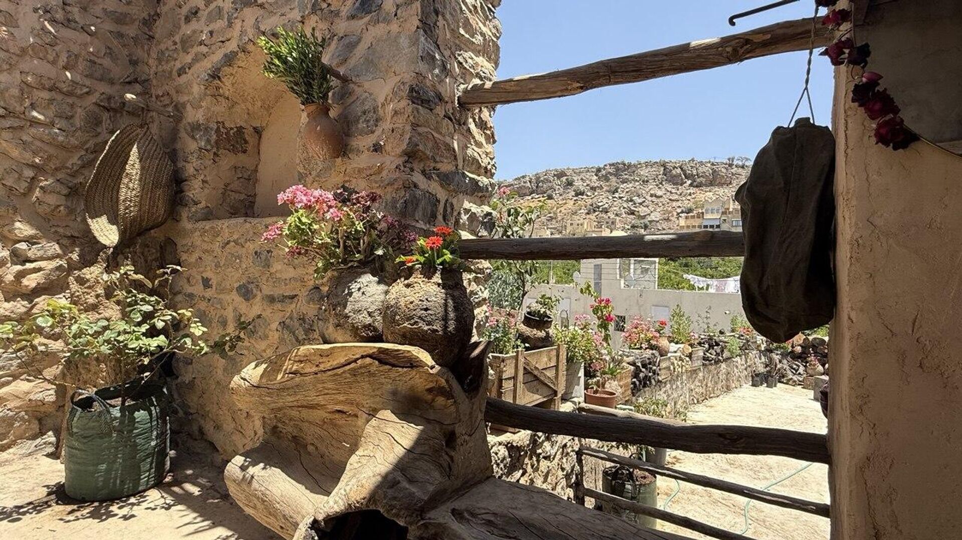 قرى الورد في الجبل الأخضر- سلطنة عمان 
 - سبوتنيك عربي, 1920, 16.05.2025