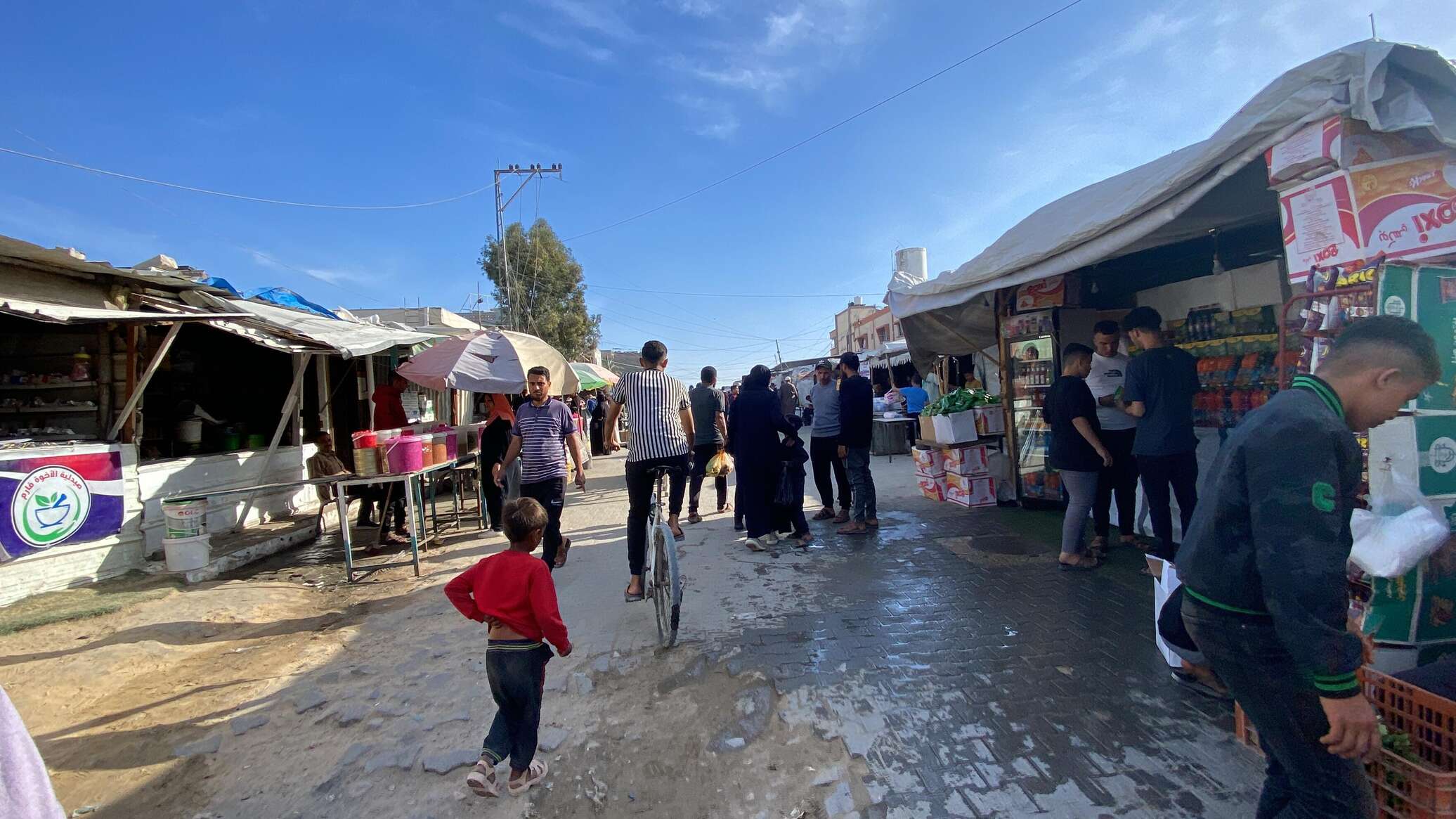 جثث أطفال متفحمة جراء القصف الإسرائيلي لمدرسة تأوي نازحين في غزة.. فيديو