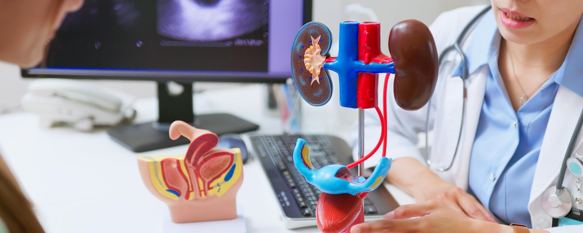 نجاح عملية زرع مثانة بشرية لأول مرة - سبوتنيك عربي, 1920, 20.05.2025