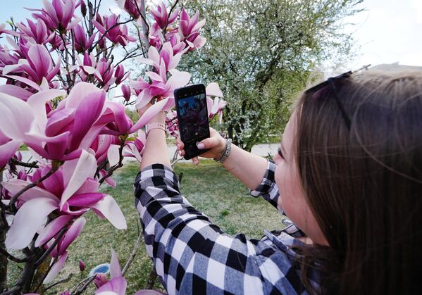 فتاة تلتقط صورة لزهرة الماغنوليا المزهرة في ماريوبول. - سبوتنيك عربي
