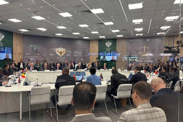 فعاليات اليوم الثاني لمنتدى بطرسبورغ القانوني الدولي المنعقد في مدينة سان بطرسبورغ الروسية - سبوتنيك عربي