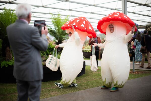 رجل يلتقط صورة لأشخاص يرتدون زيّ الفطر في معرض تشيلسي للزهور التابع للجمعية الملكية البريطانية للبستنة، في مستشفى تشيلسي الملكي بلندن، الاثنين 19 مايو 2025 - سبوتنيك عربي
