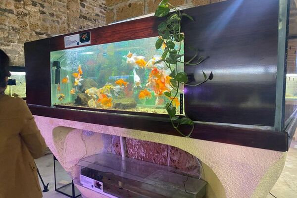 دار الحوت ببنزرت من نقطة مراقبة إلى متحف علمي ينبض بالحياة البحرية - سبوتنيك عربي