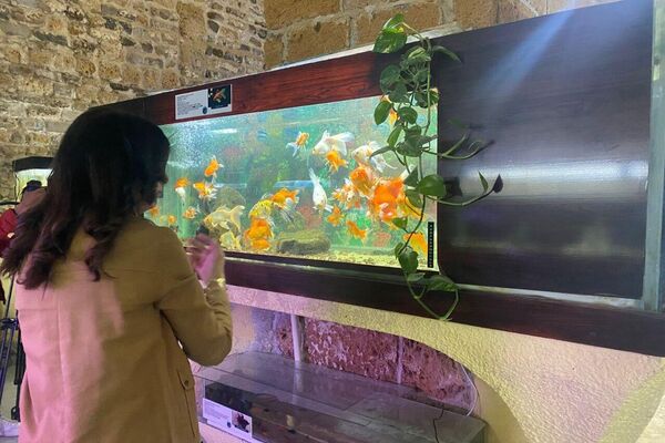 دار الحوت ببنزرت من نقطة مراقبة إلى متحف علمي ينبض بالحياة البحرية - سبوتنيك عربي