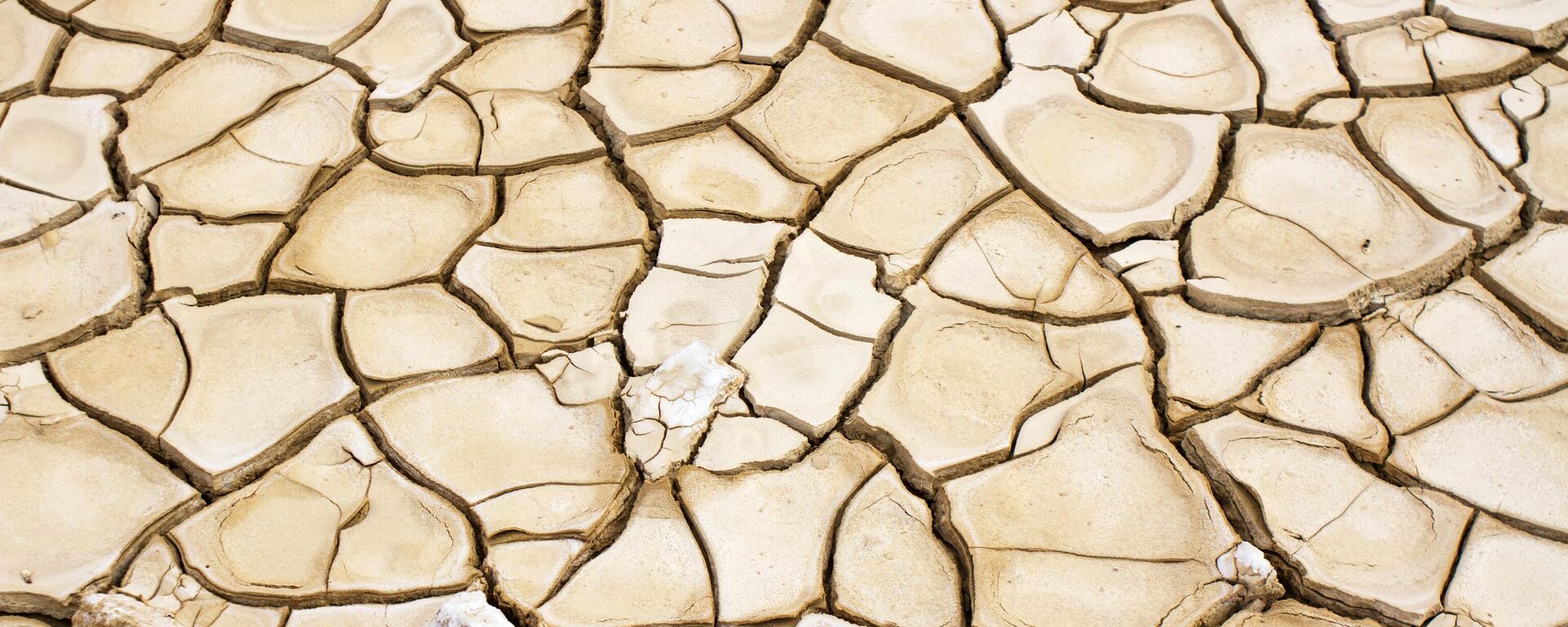 تربة جافة - سبوتنيك عربي, 1920, 23.05.2025