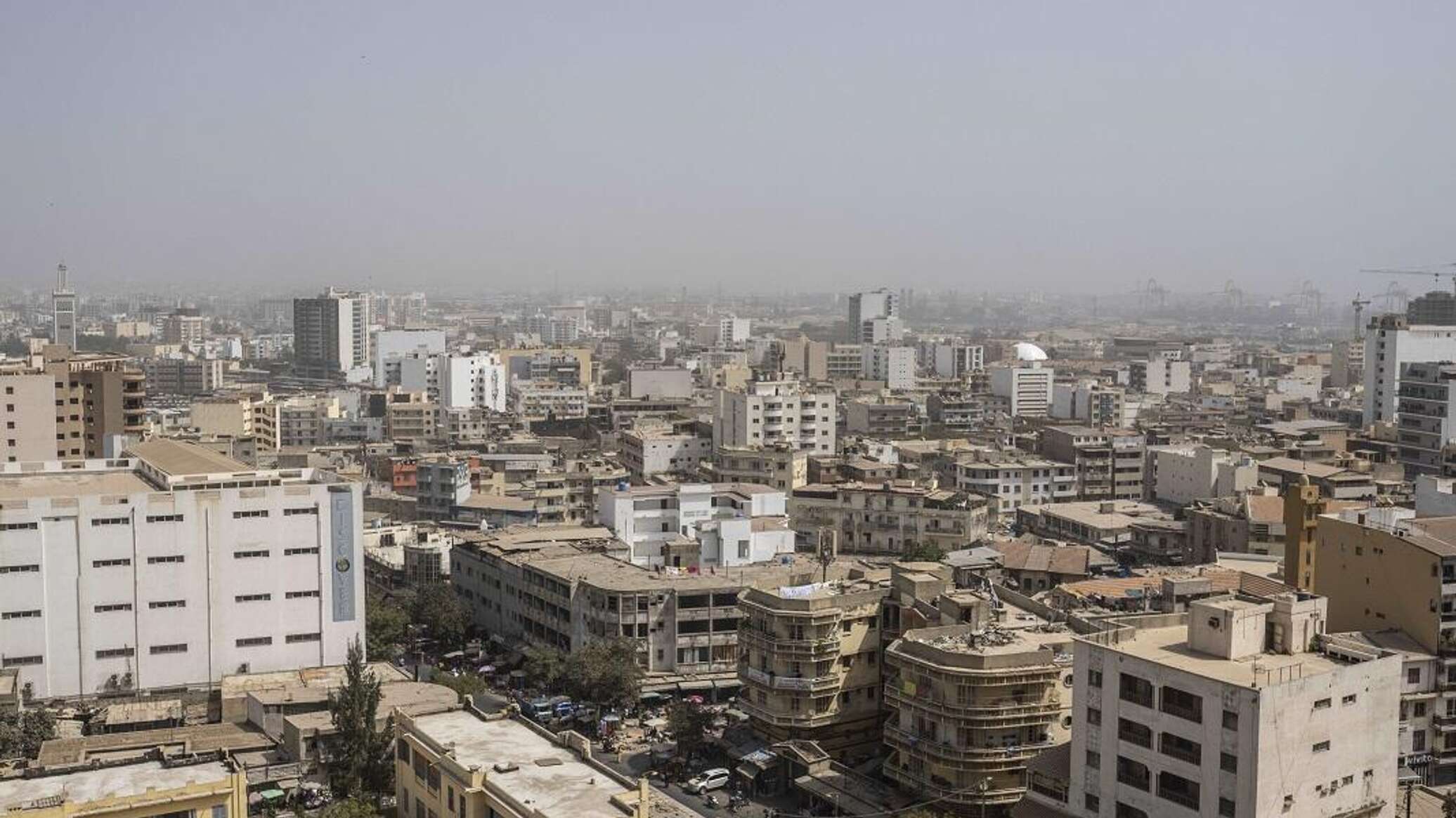 الصحة العالمية: ارتفاع عدد وفيات حمى الوادي المتصدع في السنغال إلى 28