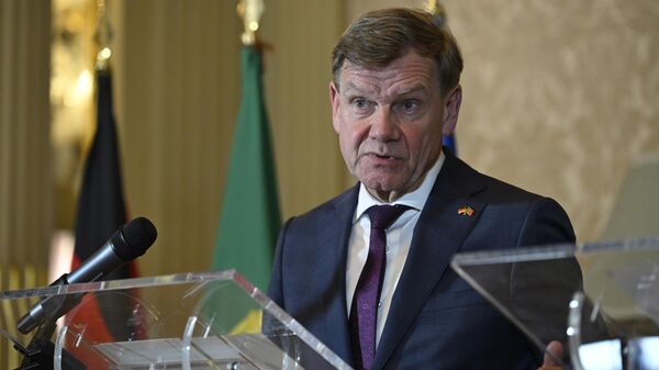 وزير الخارجية الألماني يوهان فادفول - سبوتنيك عربي