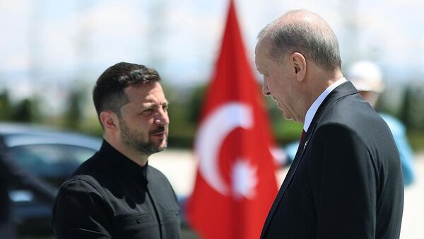 الرئيس التركي رجب طيب أردوغان وفلاديمير زيلينسكي - سبوتنيك عربي