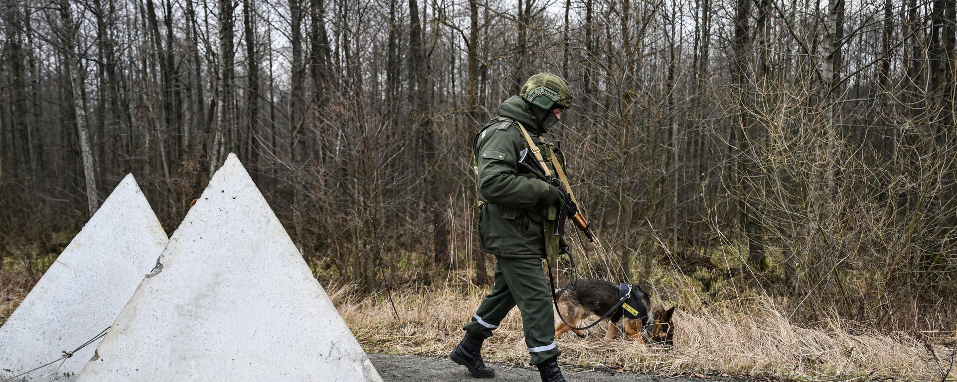 الوضع على الحدود البيلاروسية الأوكرانية - سبوتنيك عربي, 1920, 31.05.2025
