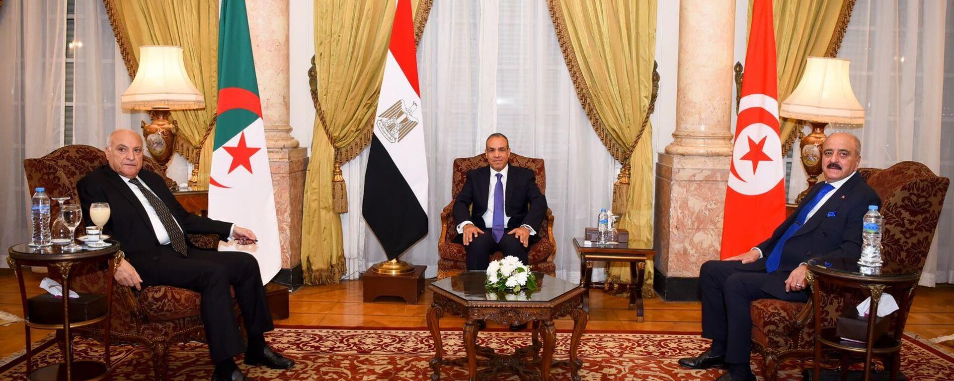 اجتماع في القاهرة بين وزراء خارجية مصر وتونس والجزائر بشأن الأوضاع في ليبيا - سبوتنيك عربي, 1920, 31.05.2025