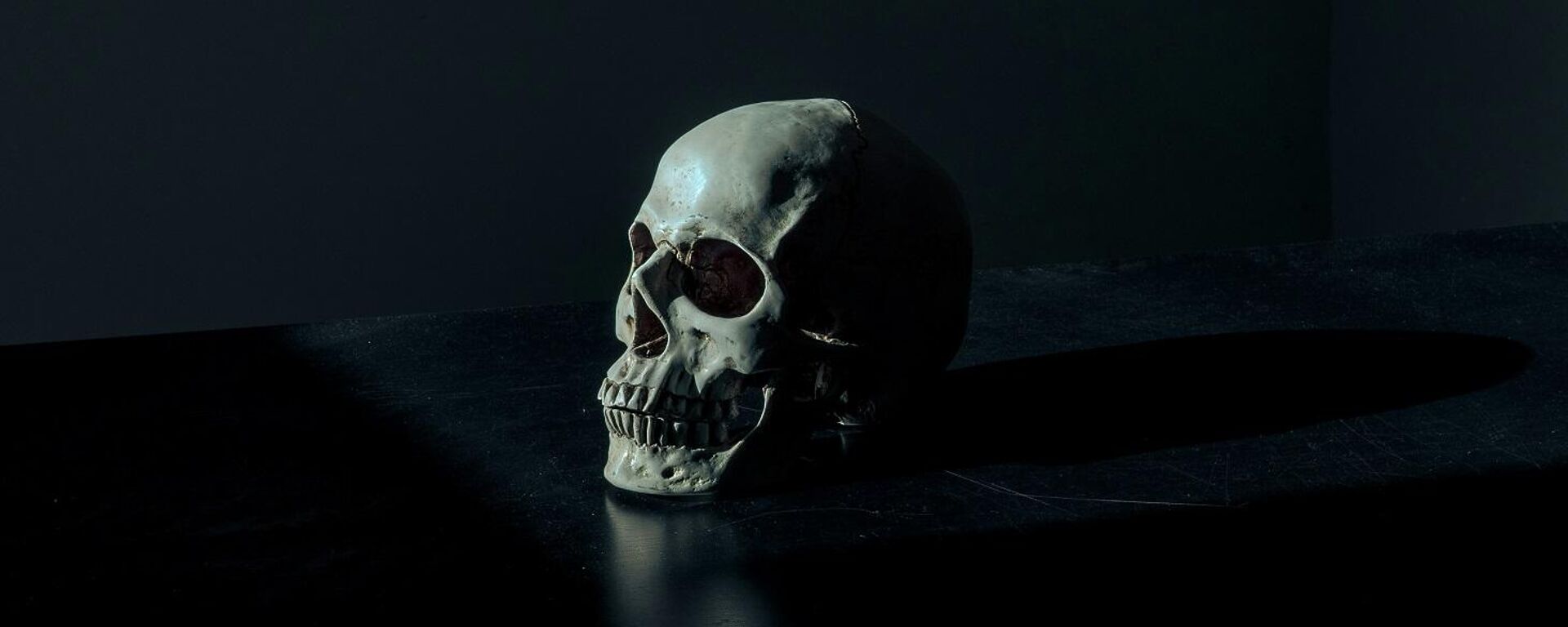 جمجمة - سبوتنيك عربي, 1920, 31.05.2025