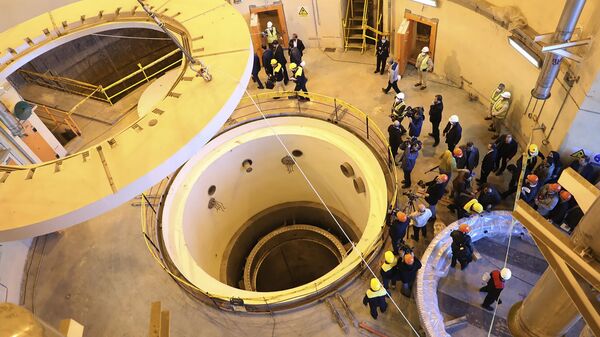 صورة نشرتها منظمة الطاقة الذرية الإيرانية، لعمل الفنيين في الدائرة الثانوية لمفاعل أراك للماء الثقيل - سبوتنيك عربي