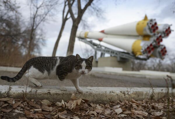 نصب تذكاري &quot;مركبة إطلاق سويوز&quot; في مدينة بايكونور. - سبوتنيك عربي