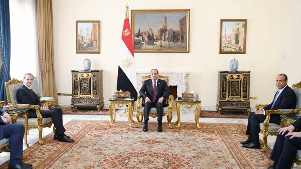 الرئيس المصري عبد الفتاح السيسي يستقبل مدير عام الوكالة الدولية للطاقة الذرية رافاييل جروسي - سبوتنيك عربي